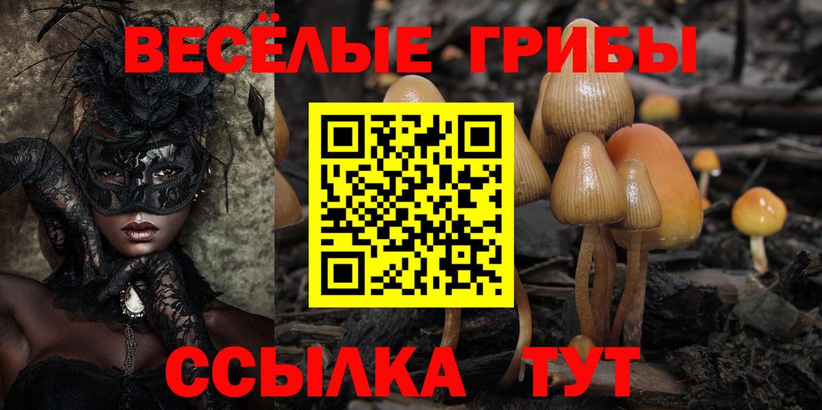 Галлюциногенные грибы GOLDEN TEACHER  Вход с VPN  Усть-Илимск 