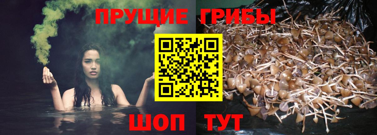 Псилоцибиновые грибы ЛСД Усть-Илимск